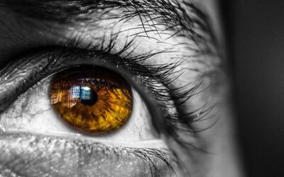 THEIA: la retina de grafeno que podría devolver la visión