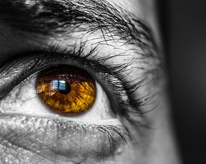 THEIA: la retina de grafeno que podría devolver la visión
